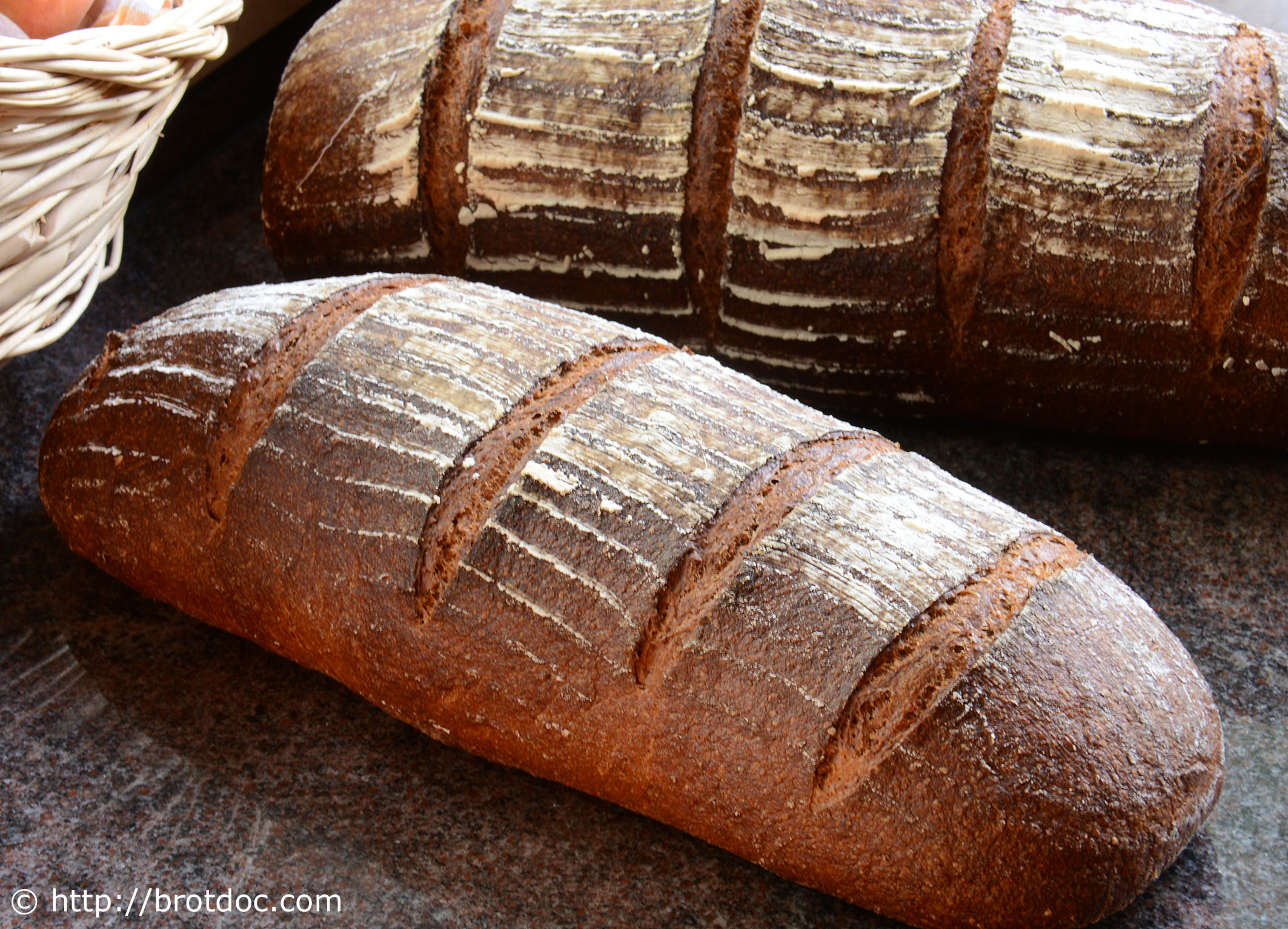 Malzbier-Brot | der brotdoc